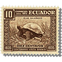 Ecuador - Tortuga icon